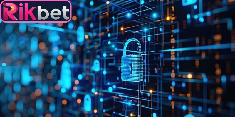 Nội dung dữ liệu cần khai báo theo chính sách bảo mật 